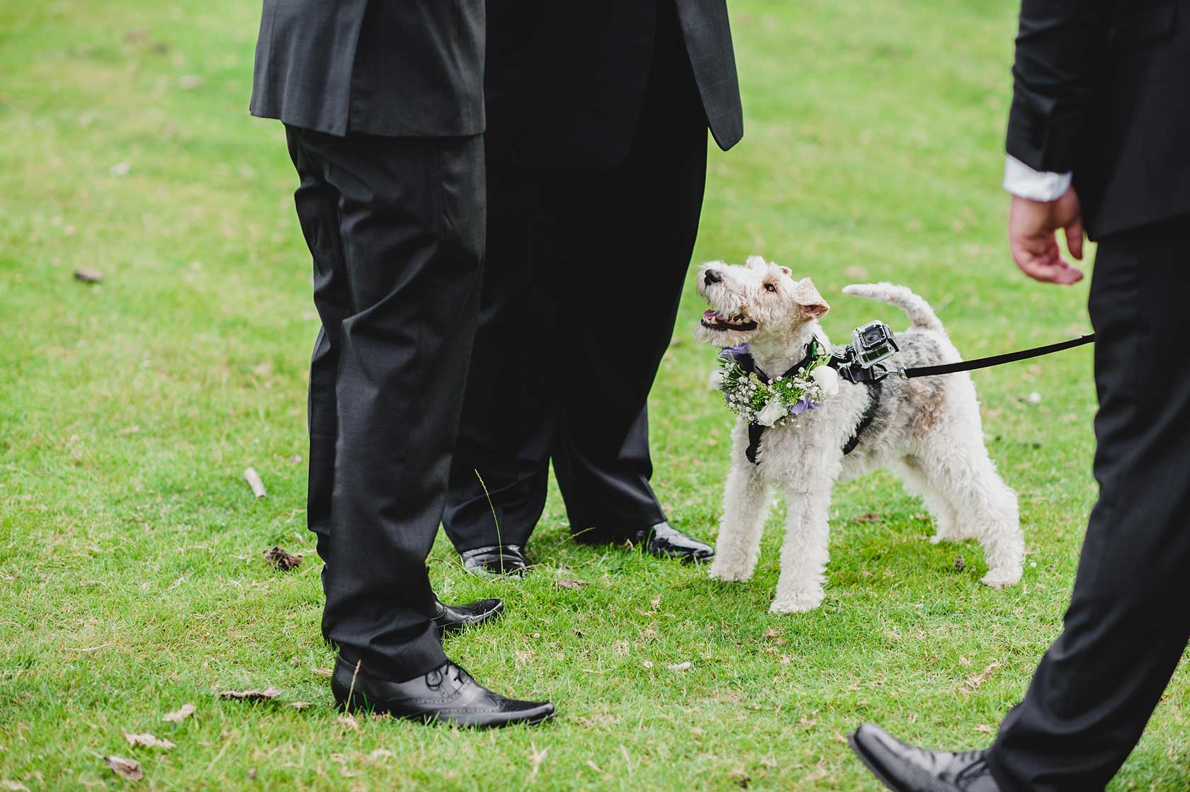 Wedding at New House Farm