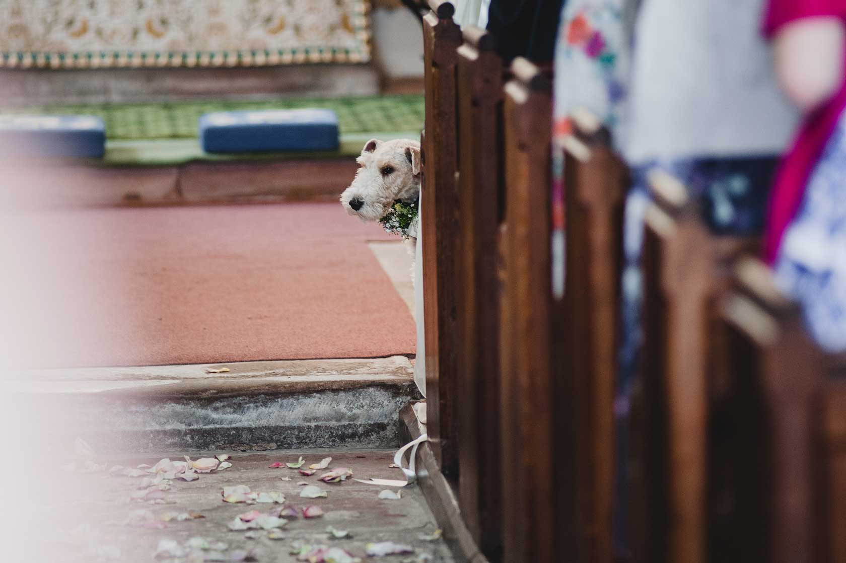 Wedding Photographer at New House Farm